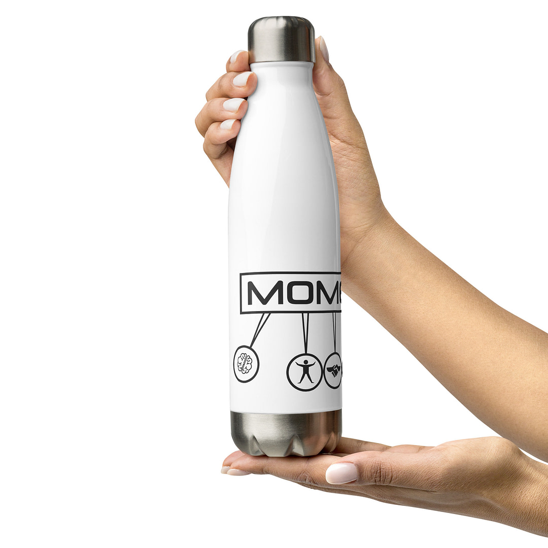 Momentum Stainless Steel Water Bottle - Image 3