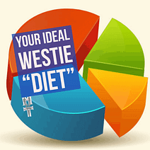 Your Ideal Westie Diet Time to audit your WCS activities, and set a positive path for 2017! #healthybalance #moreisnotalwaysbetter #wcscoachscorner