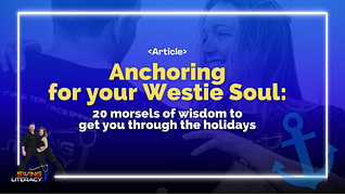 Dancer Blog article graphics (3)