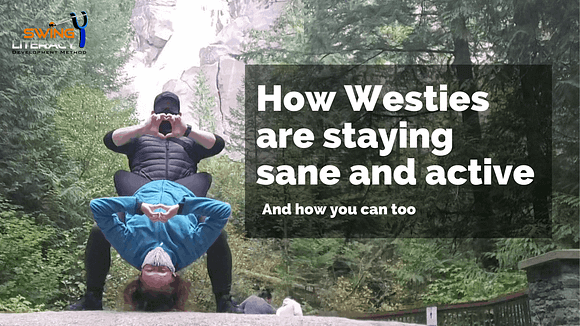 How-Westies-are-Staying-Sane-and-Active
